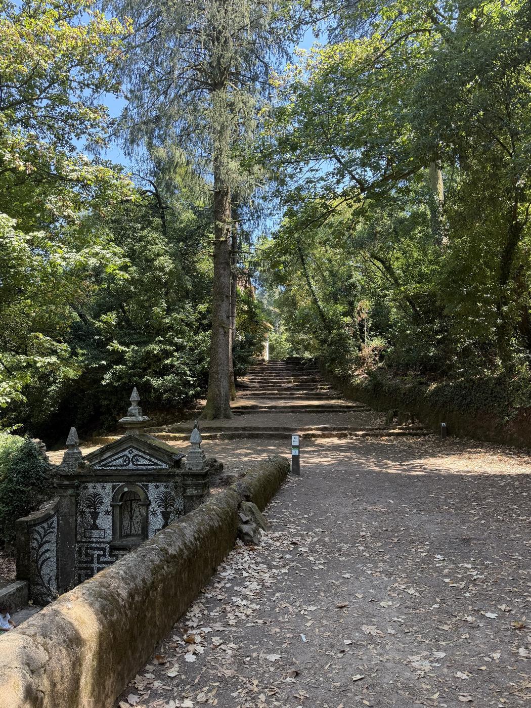 Schattiger Waldweg mit altem Brunnen im Nationalwald Buçaco